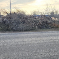 Šakų išvežimas (Neveronys)