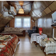 Domina, senos dangos nuardymas, gipso ploksciu montavimas