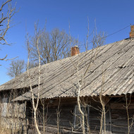 Apleistos sodybos aplinkos tvarkymas, krūmų kirtimas/valymas