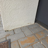 Cokolio taisymas (fasado)