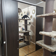 Spintos išmontavimas ir išvežimas