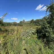 Apleisto sklypo tvarkymas