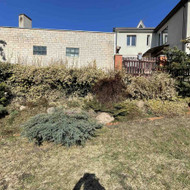 Vaismedžių genėjimas