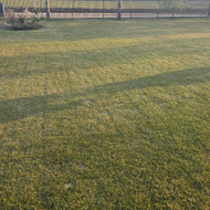 Vejos aeravimas ir skarifikavimas