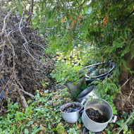 Šiukšlių išvežimas