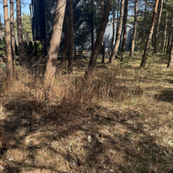 Tertirojos sutvarkymas