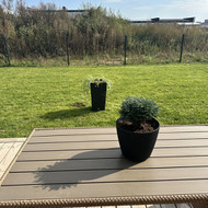 Vejos borteliu sudejimas