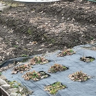 Įrengti 3 pakeliamas lysves