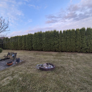 Gyvatvorių karpymas/formavimas