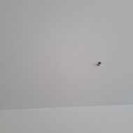 Pakabinamų lubų korekcijos