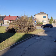 Reikalingas šakų ir krūmų išvežimas