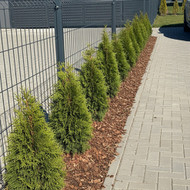 Apželdinimo, kasimo darbai