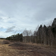 Atiduodu 30 arų krūmų ir medžių biokurui, įmanoma priemoka Vilniaus raj. netoli Marijampolio