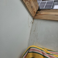 Stoglangio angokraščių dažymas