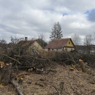 Šakų išvežimas Elektrėnai