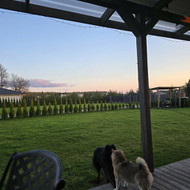 Lauko terasos užuolaidos