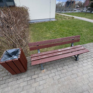 Medienos restauracija