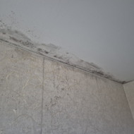 Ieškau gerų meistrų vieno kambario remontui