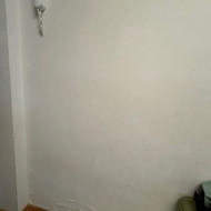 Buto sienų ir lubų dažymas