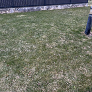 Vejos priežiūra, įrengimas