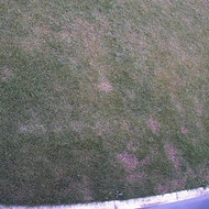 Terasos iš plytelių Kauno r.