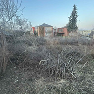 Apleisto sklypo tvarkymas