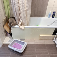 Reikia plytelių meistro