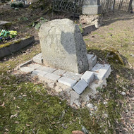 Paminklo, tvorelių atnaujinimas