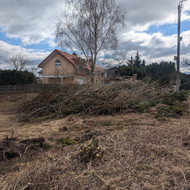 Šakų, medelių išvežimas