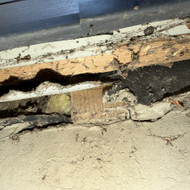 Ieškomi fasado ekspertai