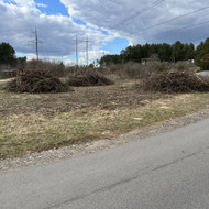 Šakų utilizavimas, išvežimas