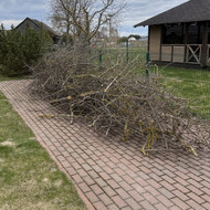 Šakų išvežimas, kauno raj.