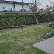 Medžio darbai, staliai