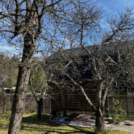 Vaismedžių genėjimas