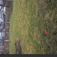 Žolės skarifikavimas