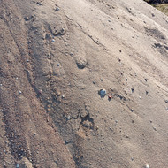 Namo grindų betonavimas