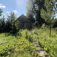 Krumu naikinimas, nuvirtusio medzio tvarkymas