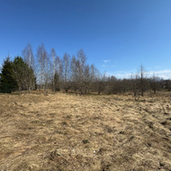 Aplinkos tvarkymas, apželdinimas