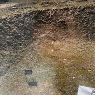 Kiemo tvarkymas ir tvora