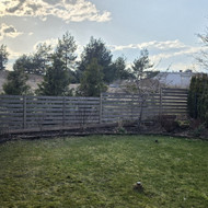 Apželdinimas ir veja