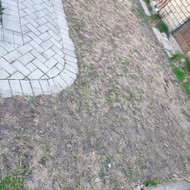 Vejos atkūrimas: lyginimas, aeravimas, atsėjimas, skarifikavimas