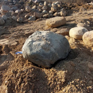 Riedulių pervežimas