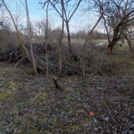 Vejos priežiūra, įrengimas