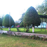 Sienutės iš elektros stulpų ir betono ardymas, laužo pakrovimas, išvežimas, pridavimas. Teritorijos