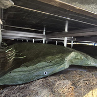 Įrengti pamatą iš sraigtinių polių