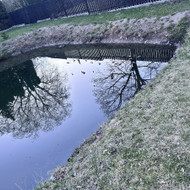 Šlaitų tvirtinimas ir apželdinimas