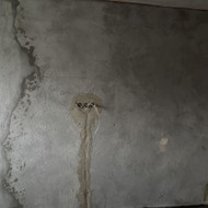 Ieškau gerų meistrų