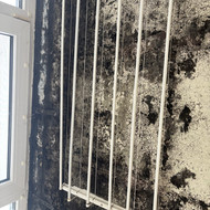 Pelėsio naikinimo paslaugos