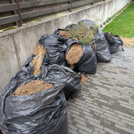 Žaliųjų atliekų išvežimas