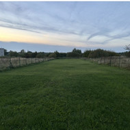 Reikia iškasti nedidelę kūdrą ir išlyginti žemę, Kaunas